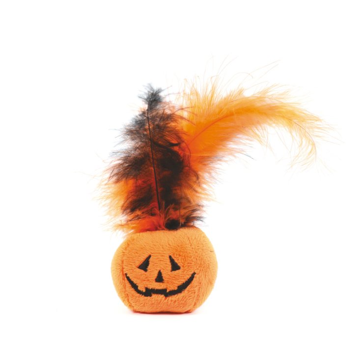 JEU D'HORREUR RECORD CITROUILLE DE CHAT AVEC PLUMES