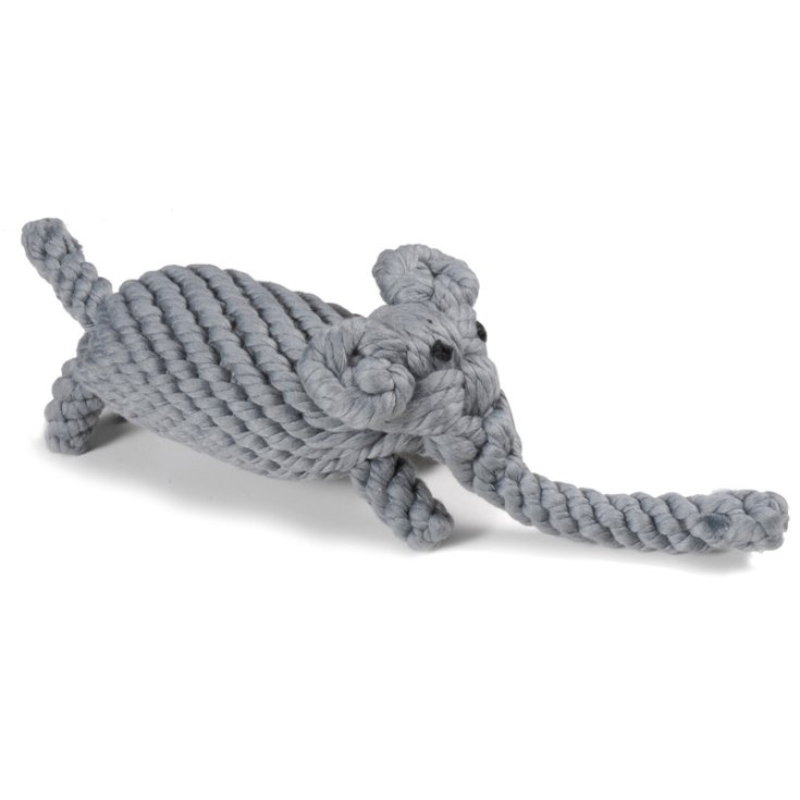 ENREGISTREMENT AMIS DE COTON AMIS DE COTON E