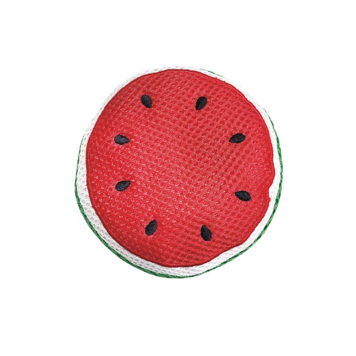 JEU D'ENREGISTREMENT POUR CHIENS 12X12X4 Pastèque