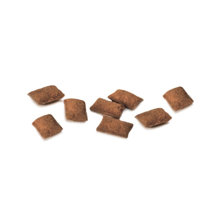 DISQUES DE NOËL ALBERELLO SNACK CAT 50