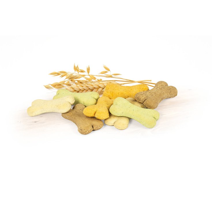 RECORD BISCODOG BISCUITS POUR CHIEN MINI MIX 4