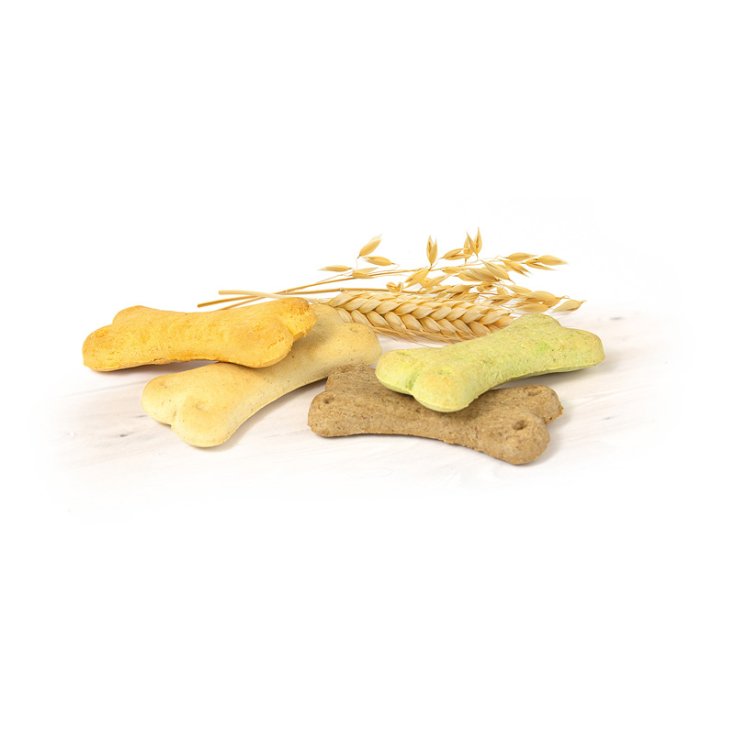 RECORD BISCODOG CHIEN BISCUITS MIX BÉBÉ 4