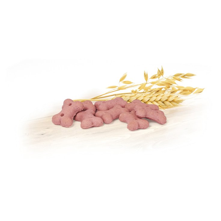 RECORD BISCODOG CHIEN BISCUITS FRUITS DE