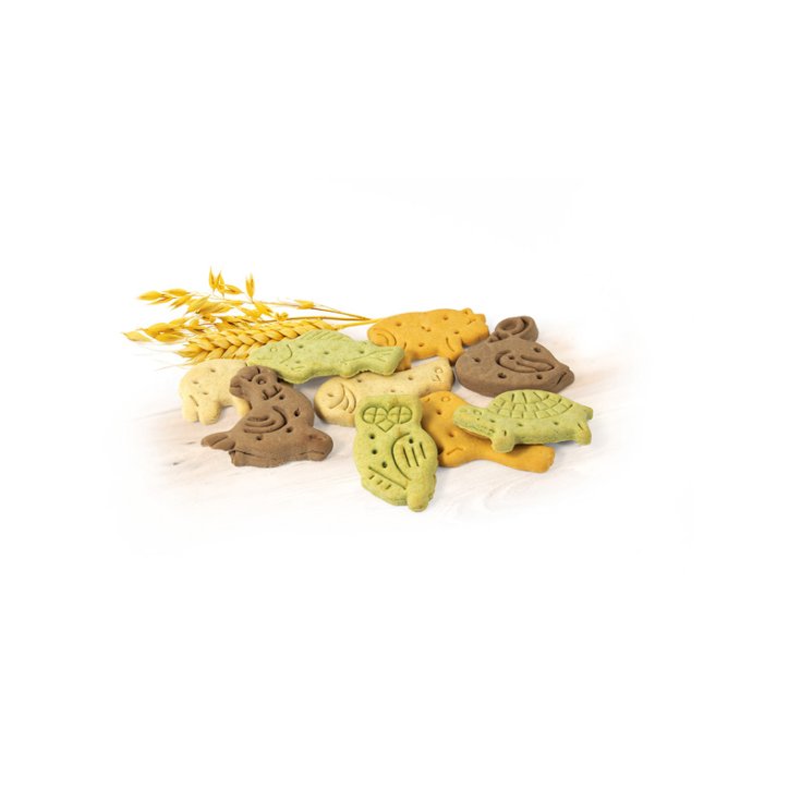 RECORD BISCODOG FACTEUR DE MÉLANGE DE BISCUITS POUR CHIEN