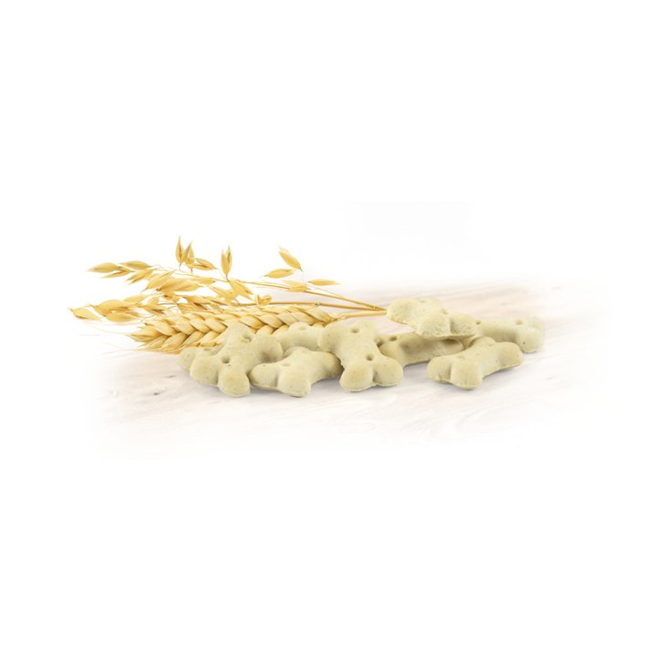 RECORD BISCODOG BISCUITS POUR CHIEN MINI POMME