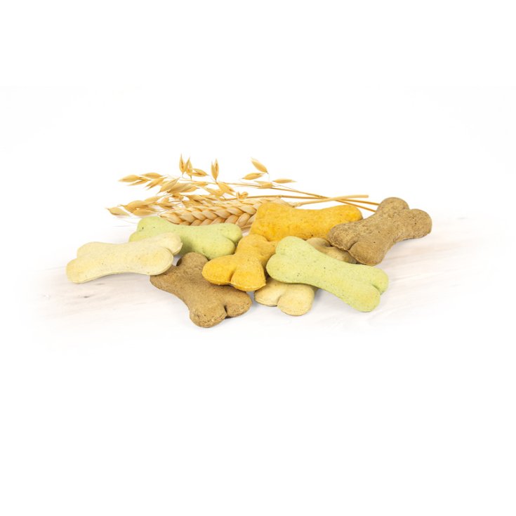 RECORD BISCODOG BISCUITS POUR CHIEN MINI MIX 1