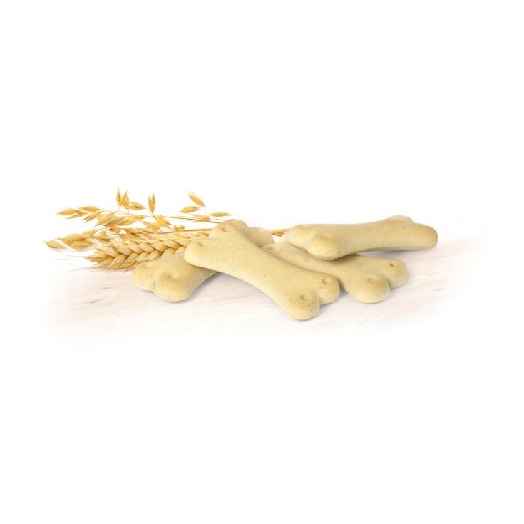 RECORD BISCODOG BISCUITS CLASSIQUES POUR CHIEN 1