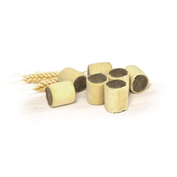 ENREGISTREMENT DE BISCODOG CHIEN COOKIES TRONKIES 1