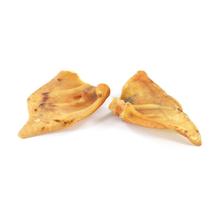 OREILLES WILD SOUL RECORD POUR CHIENS