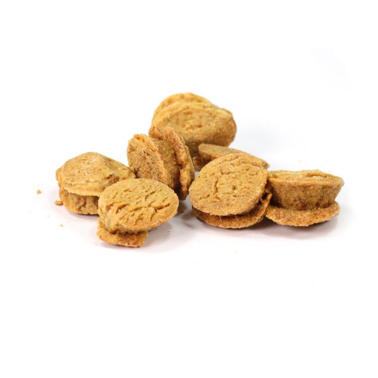 BOUTONS ORGANIQUES PURE SOUL RECORD POUR