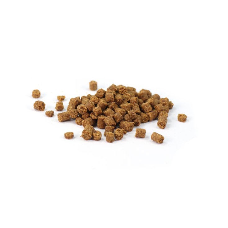 PURE SOUL RECORD MINI BIAIS POUR CHATS