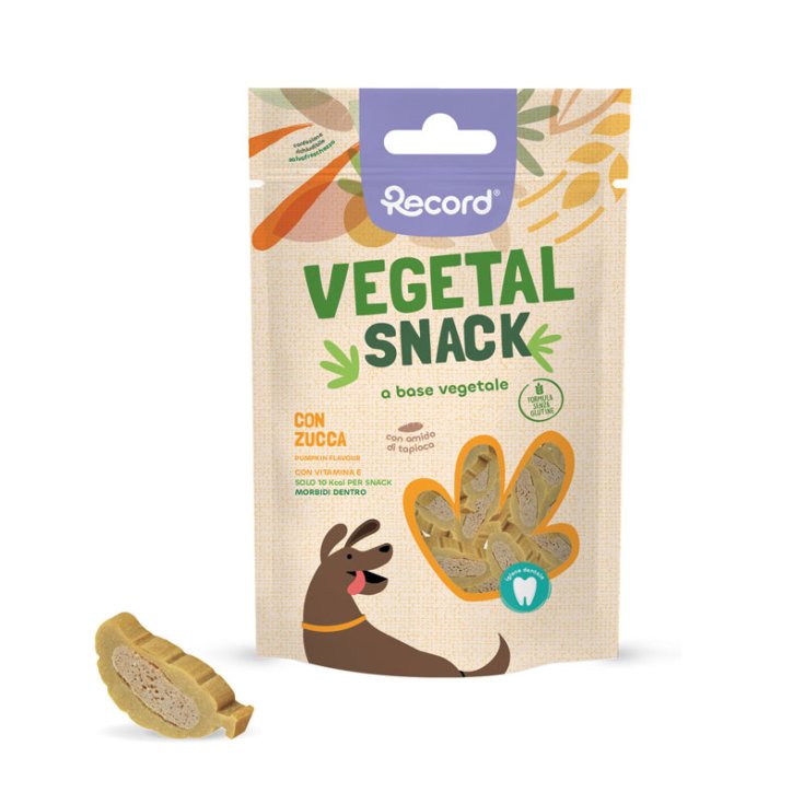 RECORD SNACK VÉGÉTAL POUR CHIENS 75 G CITROUILLE