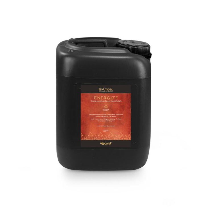 RECORD AMBEL SHAMPOOING LONGS MANTEAUX ENERGIE