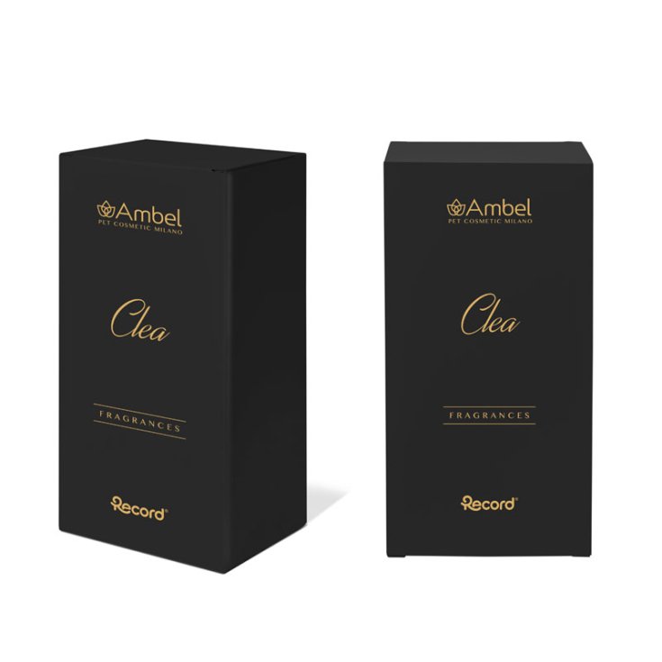 RECORD AMBEL PARFUM NETTOYANT 0,1 L