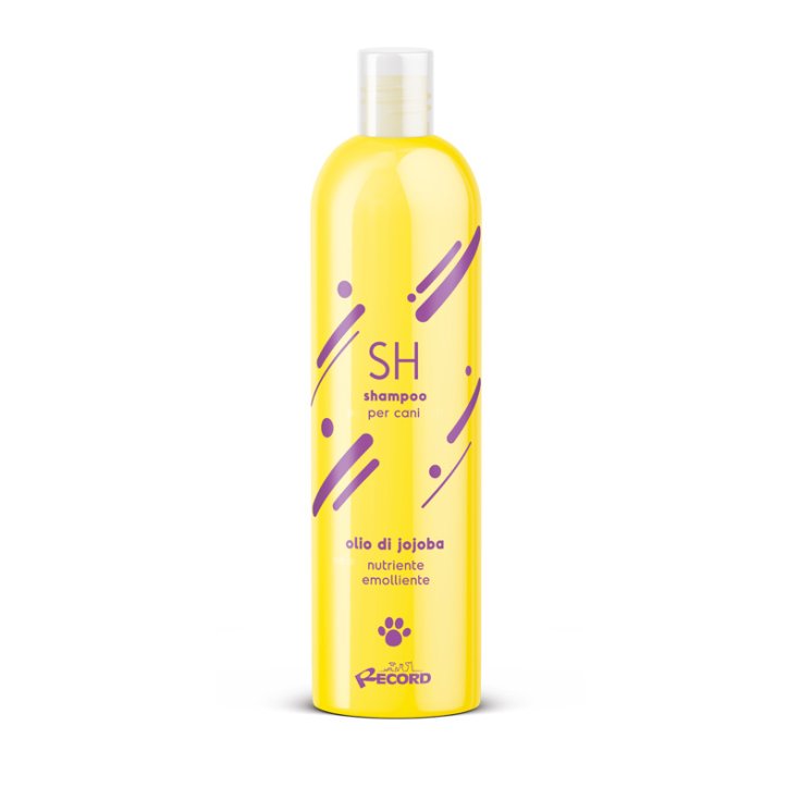 SHAMPOOING À L'HUILE DE JOJOBA