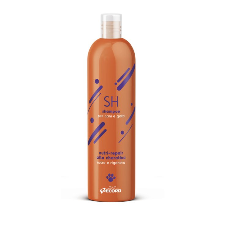 RECORD BIO SH CAMOMILLE 250ML