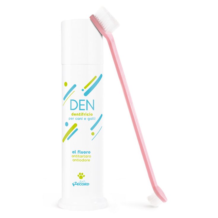 RECORD DENTIFRICE ET BROSSE PROFESSIONNELS