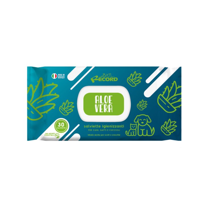 RECORD 30 LINGETTES DÉSINFECTANTES ALOE VE