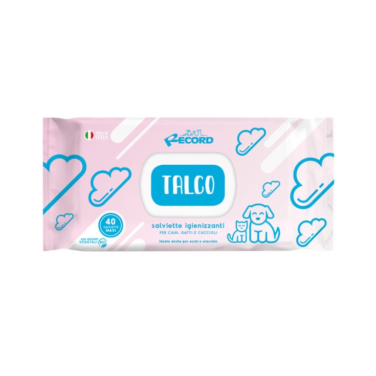 RECORD 40 LINGETTES DÉSINFECTANTES MAXI TA