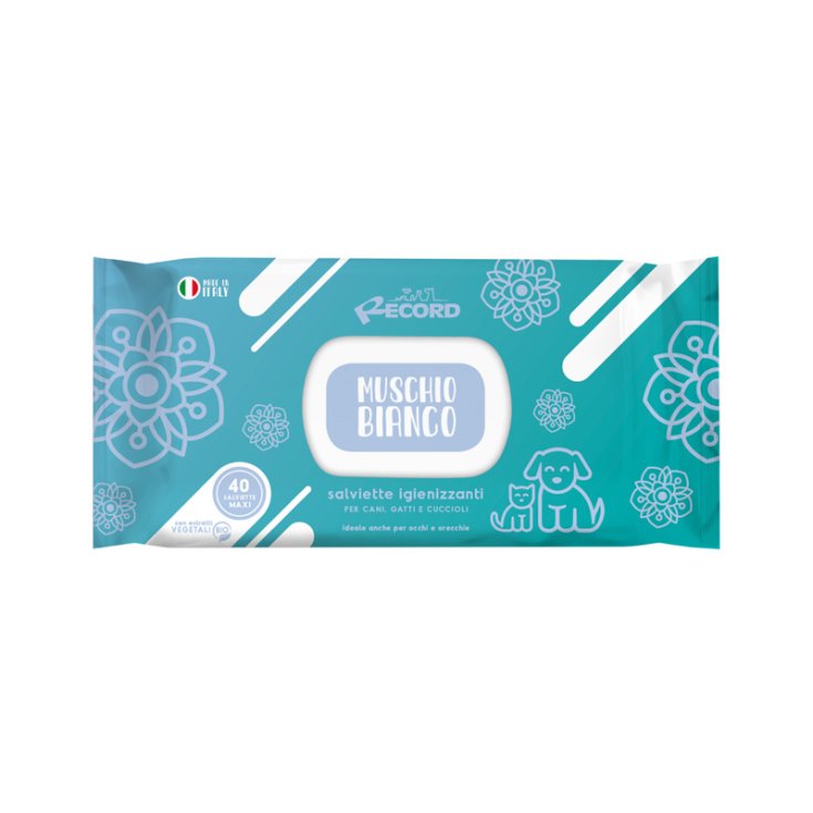 RECORD 40 LINGETTES DÉSINFECTANTES MAXI MU