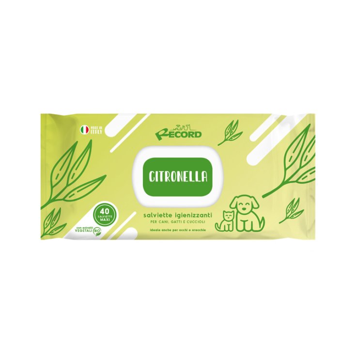 RECORD 40 LINGETTES DÉSINFECTANTES MAXI CI