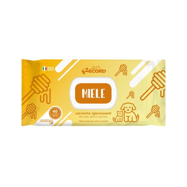 RECORD 40 LINGETTES DÉSINFECTANTES MAXI MI