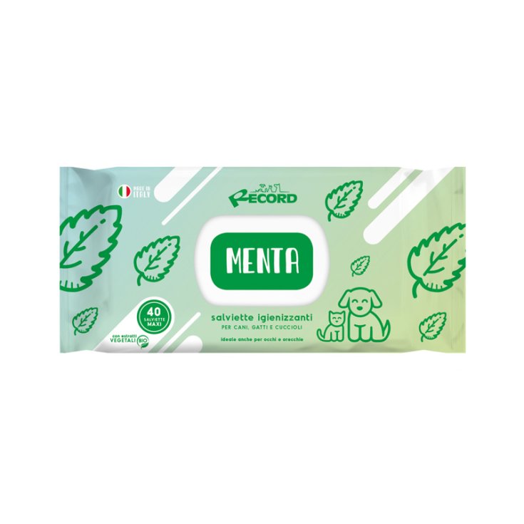 RECORD 40 LINGETTES DÉSINFECTANTES MAXI ME