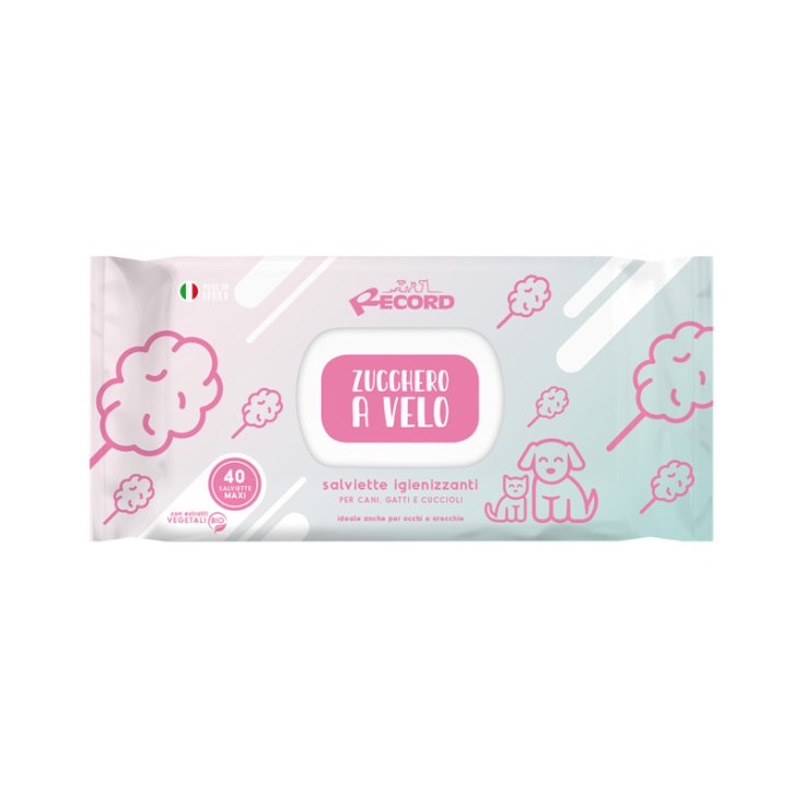 RECORD 40 LINGETTES DÉSINFECTANTES MAXI ZU