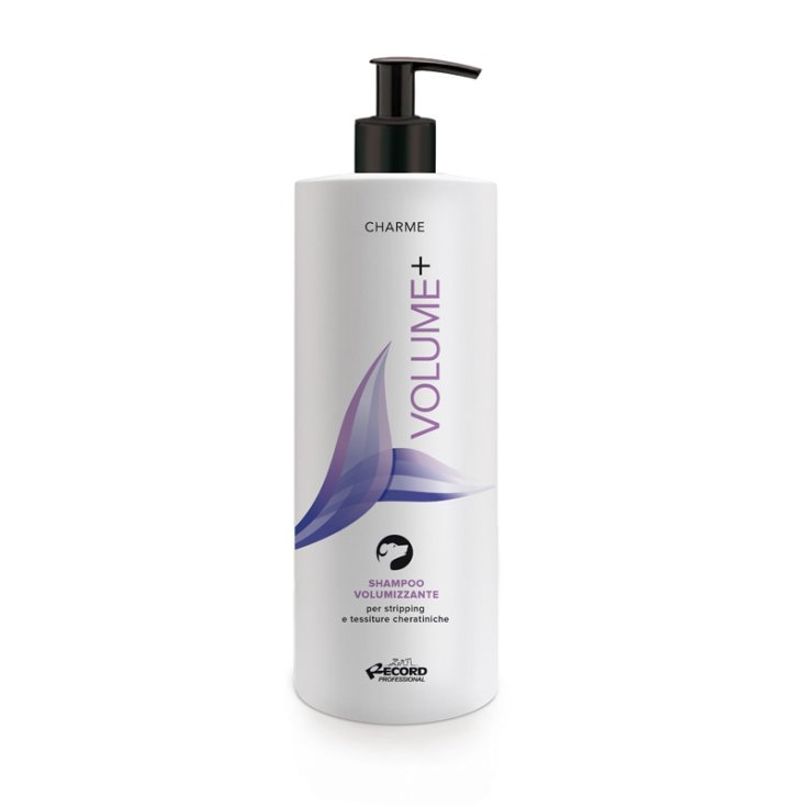 RECORD CHARME VOLUME+ SHAMPOOING 1 L