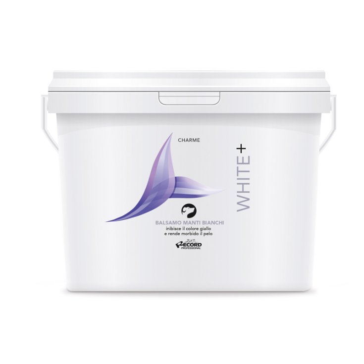 BAUME RECORD CHARME 3 L BLANC+