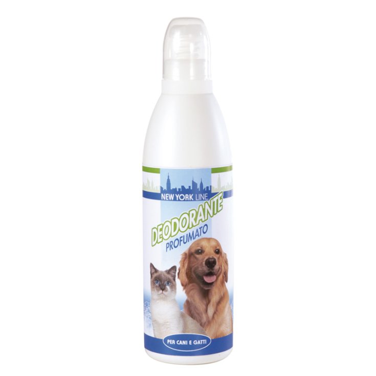 DÉODORANT RECORD NEW YORK 0,25 L