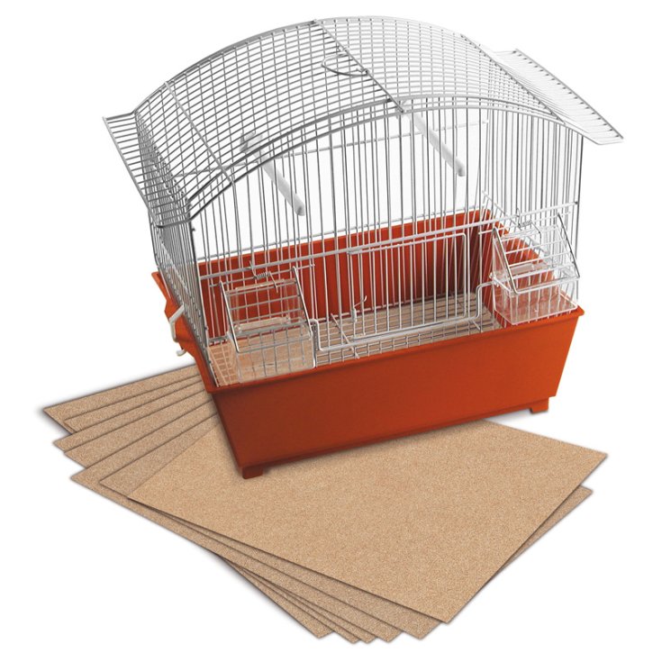 BEST FRIEND BEST FRIEND-8 FEUILLES SABLÉES