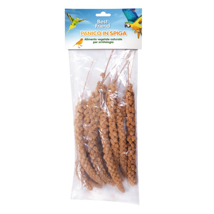 MEILLEUR AMI PANIQUE DANS L'OREILLE 250 G
