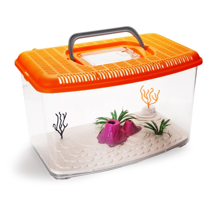 PORTE-AQUARIUM ACQUAFRIEND AVEC DEC PORTE-AQUARIUM ACQUAFRIEND AVEC DEC