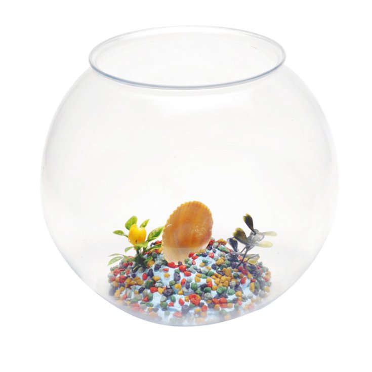 BOL D'AQUARIUM ACQUAFRIEND AVEC DÉCORATION 2